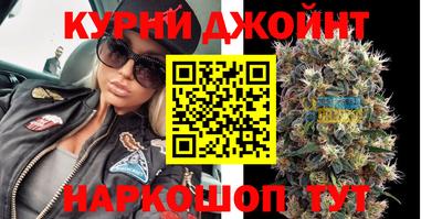 стаф Кимры