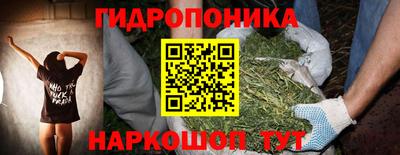 герыч Кингисепп
