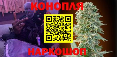 герыч Кингисепп
