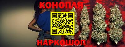 герыч Кингисепп